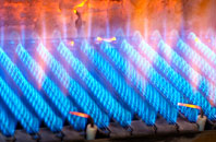 Gourdie gas fired boilers